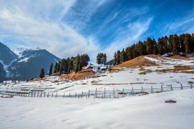 Pahalgam, Kashmir, Hindistan yakınlarındaki Aru Vadisi 'ndeki kış sahnesi..