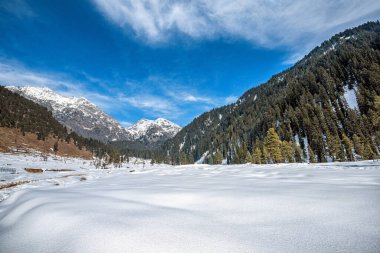 Pahalgam, Kashmir, Hindistan yakınlarındaki Aru Vadisi 'ndeki kış sahnesi..