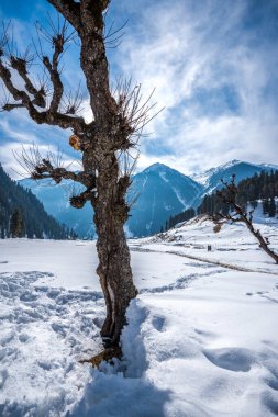 Pahalgam, Kashmir, Hindistan yakınlarındaki Aru Vadisi 'ndeki kış sahnesi..