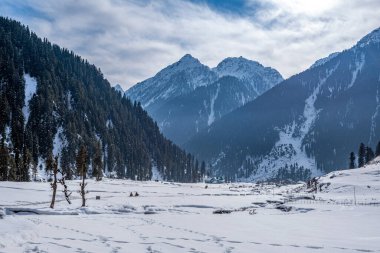 Pahalgam, Kashmir, Hindistan yakınlarındaki Aru Vadisi 'ndeki kış sahnesi..
