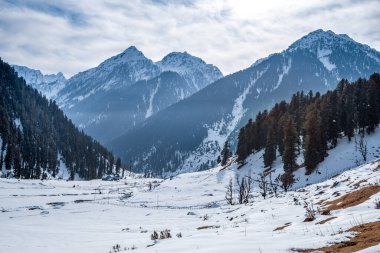 Pahalgam, Kashmir, Hindistan yakınlarındaki Aru Vadisi 'ndeki kış sahnesi..