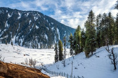 Pahalgam, Kashmir, Hindistan yakınlarındaki Aru Vadisi 'ndeki kış sahnesi..