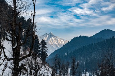 Pahalgam, Kashmir, Hindistan yakınlarındaki Aru Vadisi 'ndeki kış sahnesi..