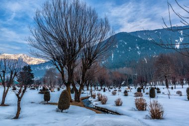Kış mevsiminde Pahalgam 'ın güzel manzarası. Etrafı donmuş Himalayalar, buzullar, yeşil köknar ve çam ağaçları ve orman manzaralarıyla çevrili.