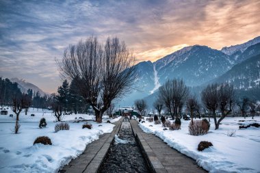 Kış mevsiminde Pahalgam 'ın güzel manzarası. Etrafı donmuş Himalayalar, buzullar, yeşil köknar ve çam ağaçları ve orman manzaralarıyla çevrili.