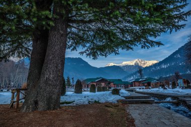 Kış mevsiminde Pahalgam 'ın güzel manzarası. Etrafı donmuş Himalayalar, buzullar, yeşil köknar ve çam ağaçları ve orman manzaralarıyla çevrili.