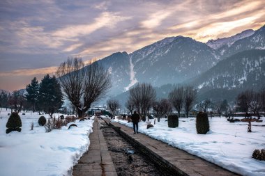 Kış mevsiminde Pahalgam 'ın güzel manzarası. Etrafı donmuş Himalayalar, buzullar, yeşil köknar ve çam ağaçları ve orman manzaralarıyla çevrili.