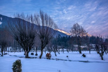 Kış mevsiminde Pahalgam 'ın güzel manzarası. Etrafı donmuş Himalayalar, buzullar, yeşil köknar ve çam ağaçları ve orman manzaralarıyla çevrili.