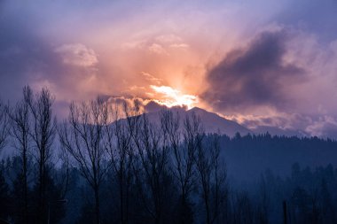 Pahalgam Vadisi 'nin güzel manzarası, Kaşmir