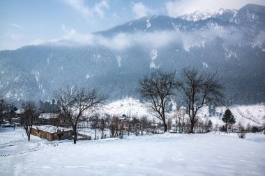 Pahalgam Vadisi 'nin güzel manzarası, Kaşmir
