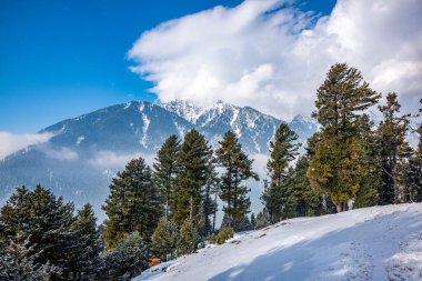 Pahalgam Vadisi, Pahalgam, Kashmir, Hindistan 'ın güzel manzarası