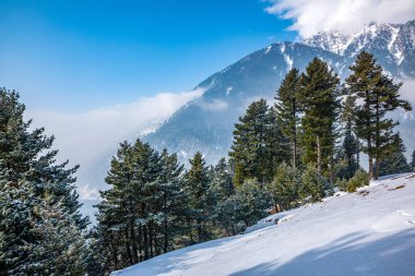 Pahalgam Vadisi, Pahalgam, Kashmir, Hindistan 'ın güzel manzarası