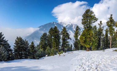Pahalgam Vadisi, Pahalgam, Kashmir, Hindistan 'ın güzel manzarası