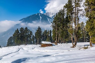 Pahalgam Vadisi, Pahalgam, Kashmir, Hindistan 'ın güzel manzarası