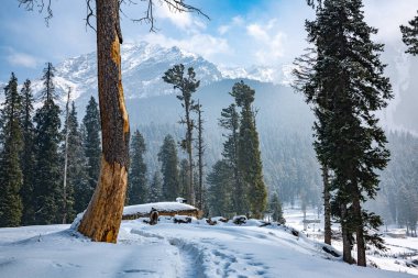 Pahalgam Vadisi, Pahalgam, Kashmir, Hindistan 'ın güzel manzarası