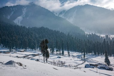 Pahalgam Vadisi, Pahalgam, Kashmir, Hindistan 'ın güzel manzarası
