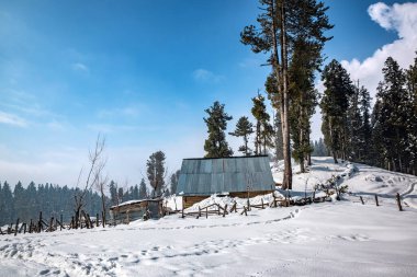Pahalgam Vadisi, Pahalgam, Kashmir, Hindistan 'ın güzel manzarası