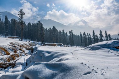 Pahalgam Vadisi, Pahalgam, Kashmir, Hindistan 'ın güzel manzarası