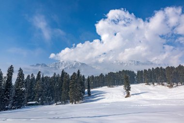 Baisaran Vadisi 'nin güzel kış manzarası Pahalgam, Kaşmir