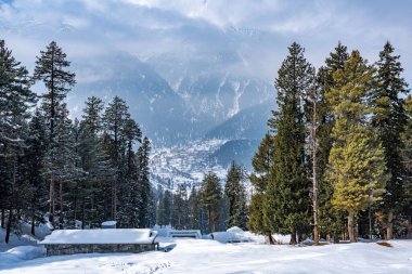 Beautiful view of Pahalgam during winter season surrounded by snow frozen Himalayas glacier mountains and green fir and pine tree line forest landscape clipart
