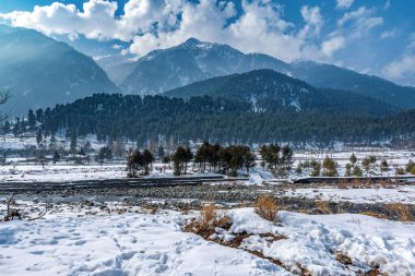 Kış mevsiminde Pahalgam 'ın güzel manzarası. Etrafı donmuş Himalayalar, buzullar, yeşil köknar ve çam ağaçları ve orman manzaralarıyla çevrili.