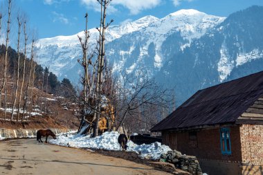 Kaşmir Vadisi ve köyünün manzarası çok güzel.