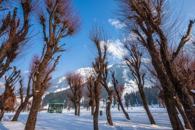 Kışın Betab Vadisi manzarası, Pahalgam, Kashmir, Hindistan yakınlarında.