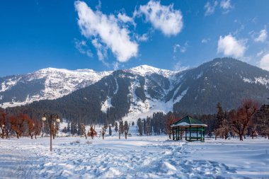 View of Betab Valley in winter season, near Pahalgam, Kashmir, India clipart