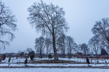 Kar, kış mevsiminde Shalimar Bagh Mughal Garden, Srinagar, Kaşmir, Hindistan 'ı kapladı.