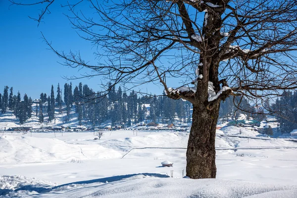 Vintersäsong Gulmarg Stad Kulle Station Populär Turist Skidåkning Destination Kashmir — Stockfoto