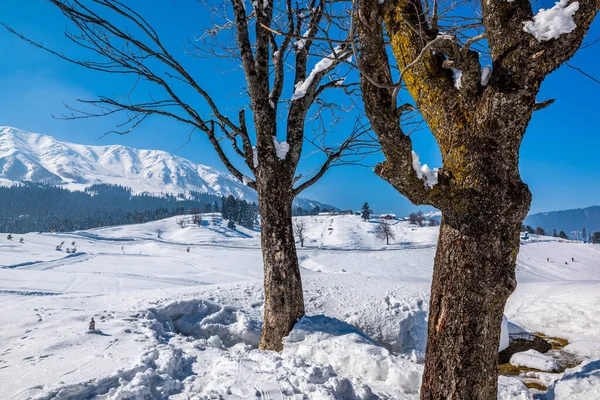 Vintersäsong Gulmarg Stad Kulle Station Populär Turist Skidåkning Destination Kashmir — Stockfoto