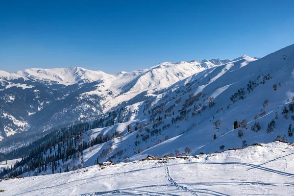 冬の季節 Gulmargは町 丘の駅 人気の観光地 スキー場 カシミール インド — ストック写真