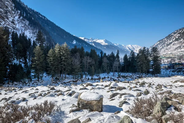 Vacker Utsikt Över Sonmarg Vintern Snötäckta Himalaya Berg Med Tallar — Stockfoto