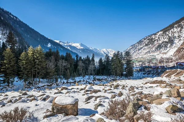 Prachtig Uitzicht Sonmarg Winter Sneeuw Bedekt Himalaya Bergen Met Pijnbomen — Stockfoto