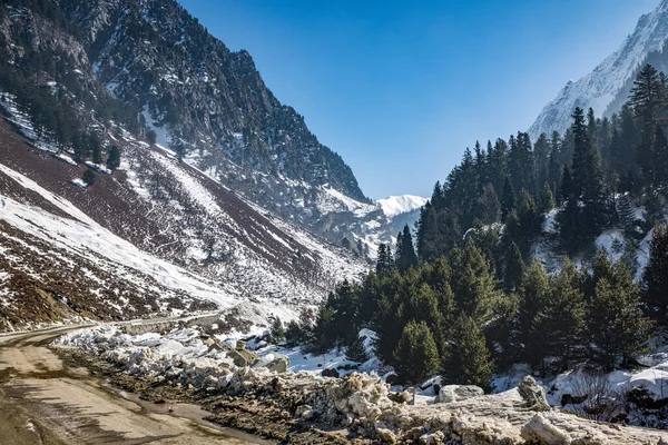 Vacker Utsikt Över Sonmarg Vintern Snötäckta Himalaya Berg Med Tallar — Stockfoto