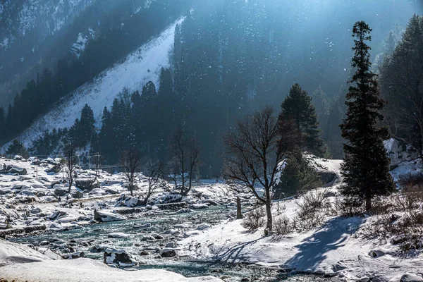 Bela Vista Sonmarg Inverno Neve Cobriu Montanhas Himalaia Com Pinheiros — Fotografia de Stock