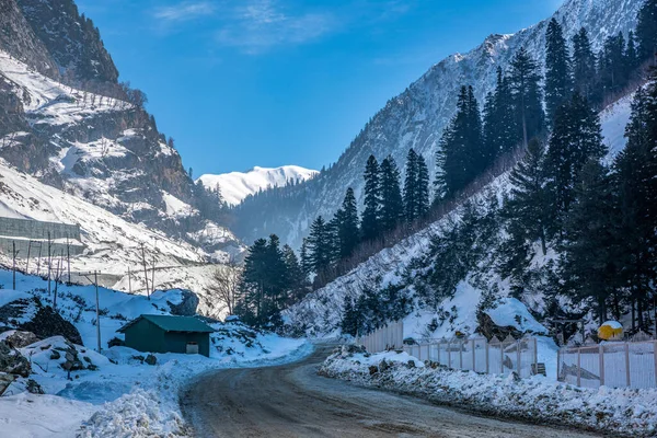 Vacker Utsikt Över Sonmarg Vintern Snötäckta Himalaya Berg Med Tallar — Stockfoto