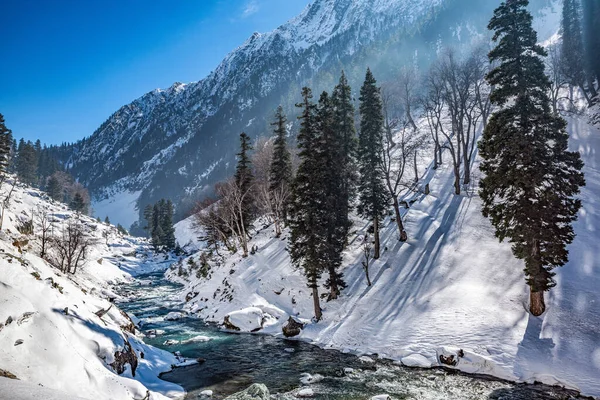 Прекрасный Вид Сонмарг Зимой Снег Покрыл Гималаи Соснами Рекой Кашмир — стоковое фото