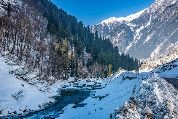 Bela Vista Sonmarg Inverno Neve Cobriu Montanhas Himalaia Com Pinheiros — Fotografia de Stock