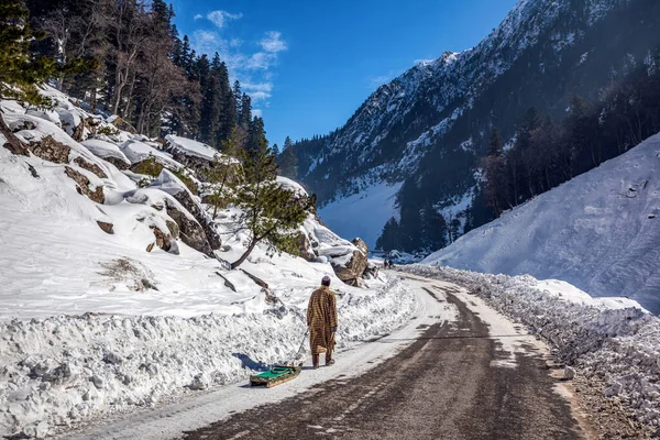 Prachtig Uitzicht Sonmarg Winter Sneeuw Bedekt Himalaya Bergen Met Pijnbomen — Stockfoto