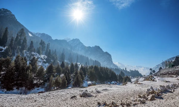 Vacker Utsikt Över Sonmarg Vintern Snötäckta Himalaya Berg Med Tallar — Stockfoto