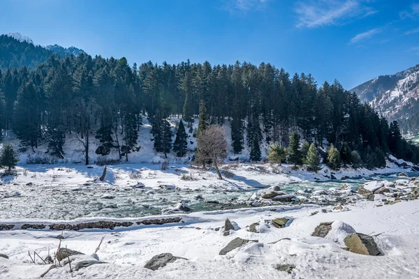 Kışın Sonmarg Güzel Manzarası Himalaya Dağları Çam Ağaçları Nehirle Kapladı — Stok fotoğraf