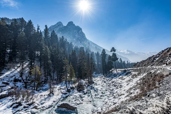 Kışın Sonmarg Güzel Manzarası Himalaya Dağları Çam Ağaçları Nehirle Kapladı — Stok fotoğraf