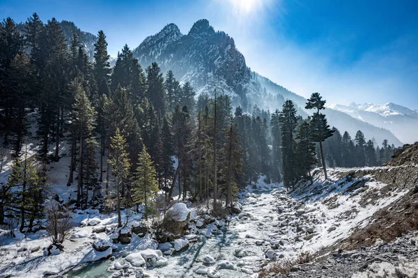 Kışın Sonmarg Güzel Manzarası Himalaya Dağları Çam Ağaçları Nehirle Kapladı — Stok fotoğraf