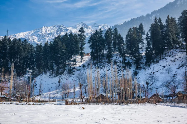 Indah Pemandangan Pahalgam Selama Musim Dingin Dikelilingi Oleh Salju Himalaya — Stok Foto