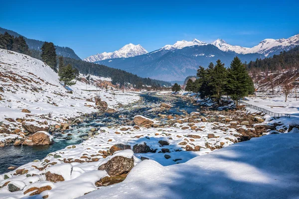 Kış Mevsiminde Pahalgam Güzel Manzarası Etrafı Donmuş Himalayalar Buzullar Yeşil — Stok fotoğraf