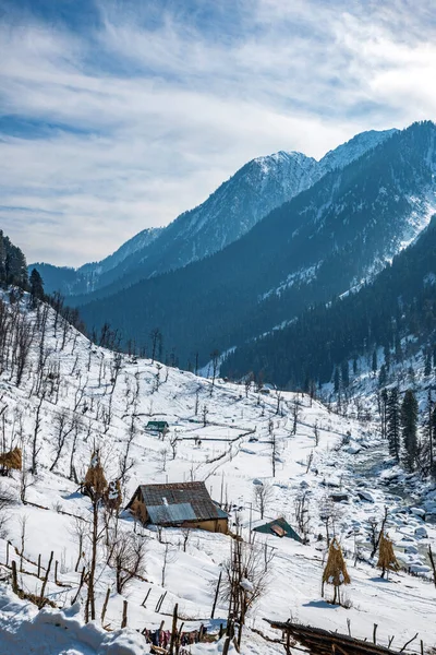 Escena Invernal Valle Aru Cerca Pahalgam Cachemira India — Foto de Stock