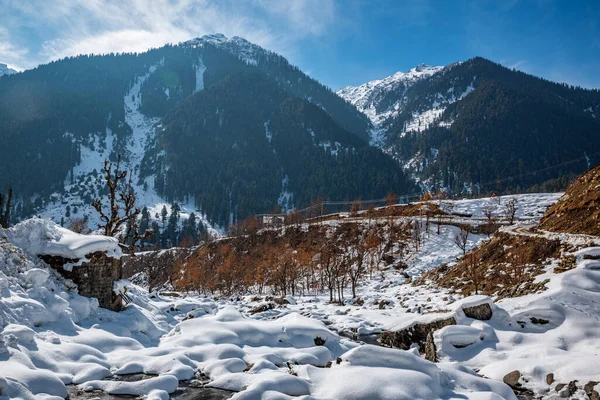 Зимняя Сцена Долине Ару Вблизи Пахалгама Кашмир Индия — стоковое фото