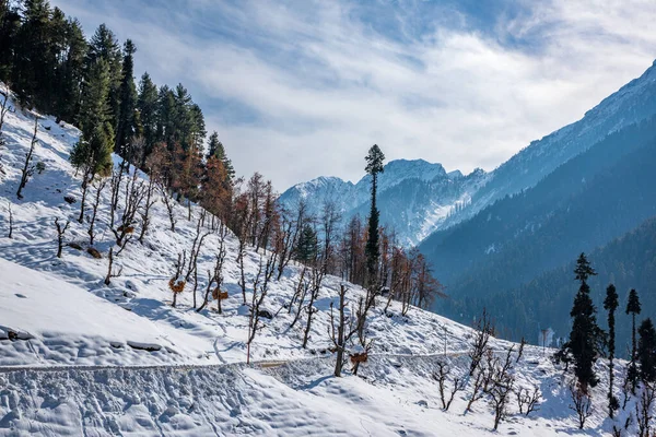 Scène Hivernale Dans Vallée Aru Près Pahalgam Cachemire Inde — Photo