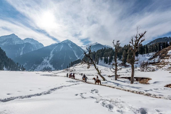 Turistas Desfrutando Passeios Cavalo Vale Aru Cena Inverno Perto Pahalgam — Fotografia de Stock